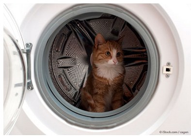 Learn your household's hideouts