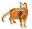 Find the sale of purebred abyssinian kittens 